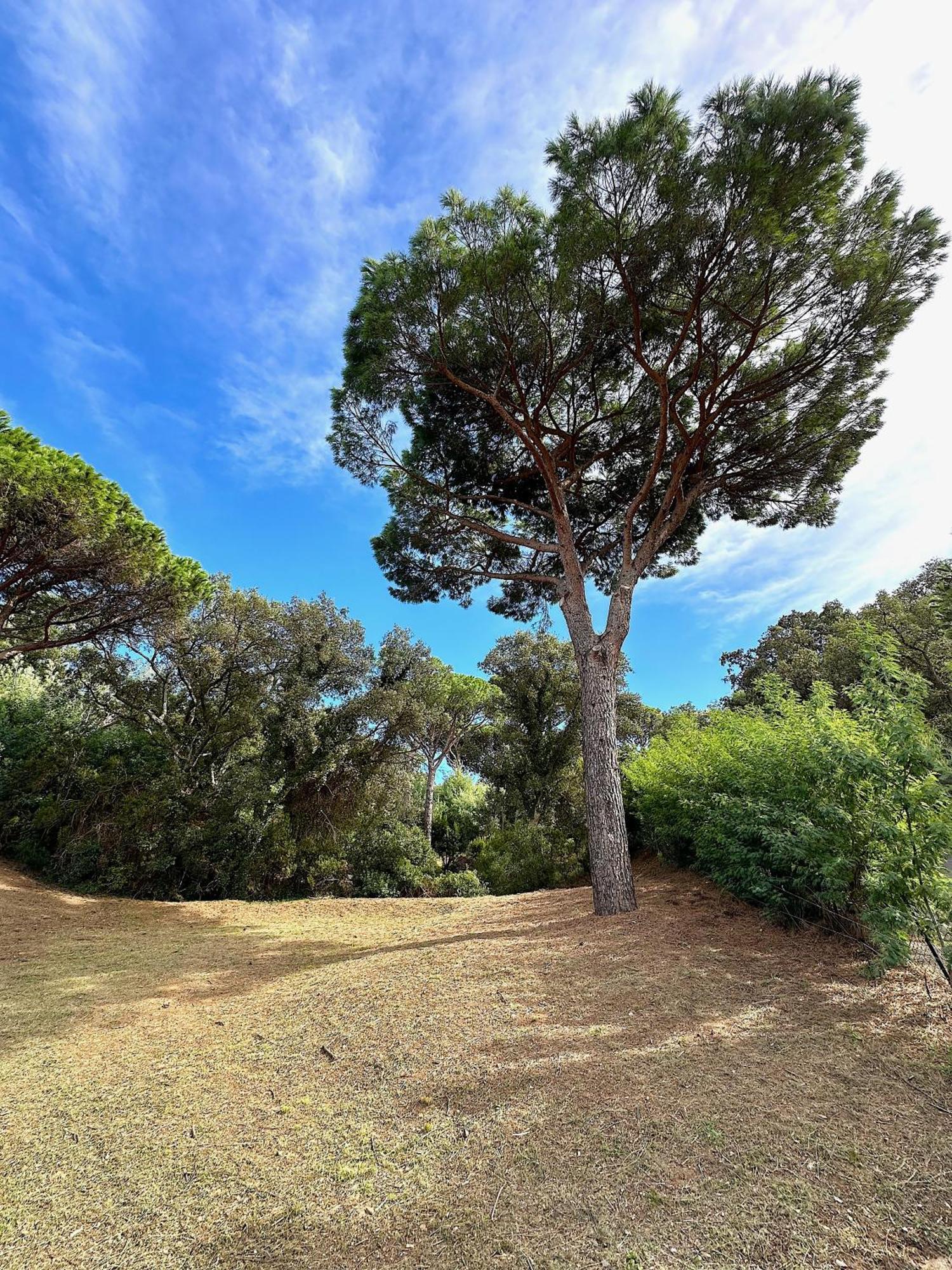 Villa Boca A Gigaro - Avec Vue Et Piscine Chauffee La Croix-Valmer Dış mekan fotoğraf